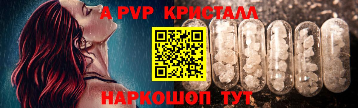 Альфа ПВП СК КРИС Лабинск