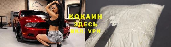 кокс Алексин