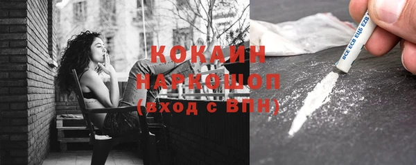 кокс Алексин